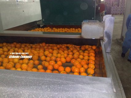 البرتقال الطازج 1