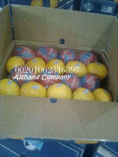 الليمون الطازج 4